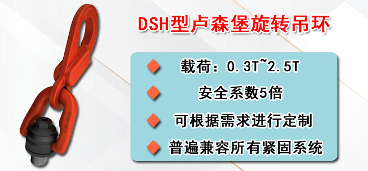 DSH型盧森堡旋轉吊環(huán)介紹